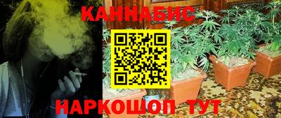 индика Пугачёв