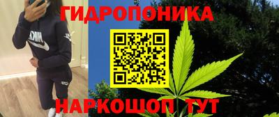 гидра Пушкино