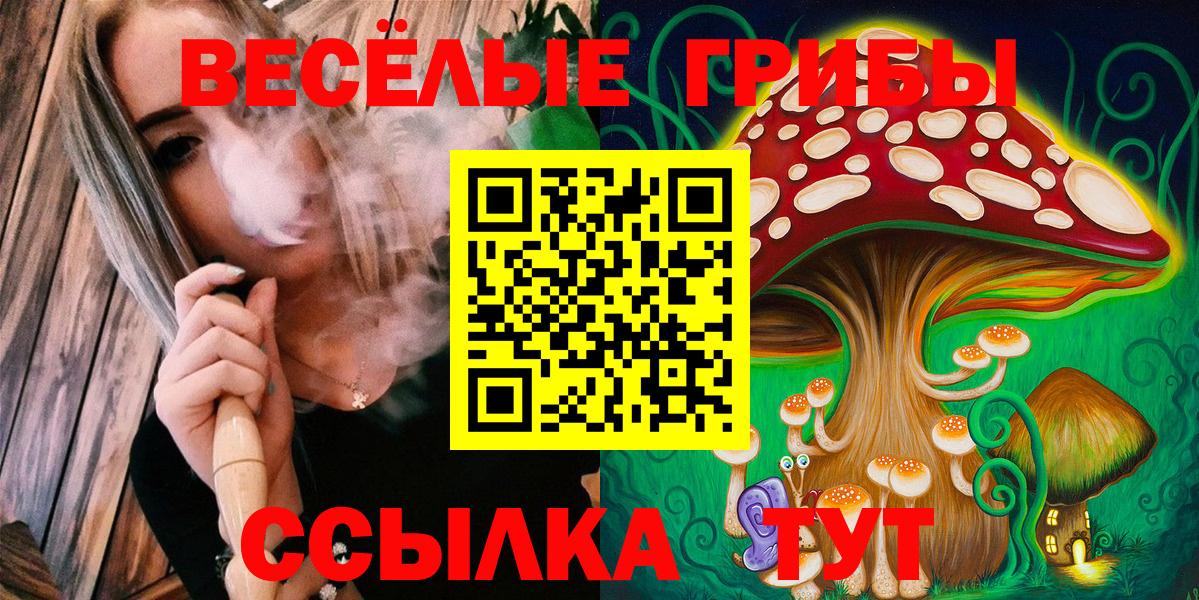 Псилоцибиновые грибы прущие грибы Новозыбков